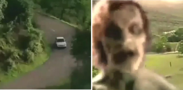 18%e5%80%8b%e8%ae%937%e3%80%818%e5%b9%b4%e7%b4%9a%e7%94%9f%e7%9c%8b%e5%ae%8c%e6%87%b7%e5%bf%b5%e5%88%b0%e7%88%86%e7%9a%84%e3%80%8c%e8%b6%85%e6%87%b7%e8%88%8a%e7%b6%b2%e8%b7%af%e9%9d%92%e6%98%a5