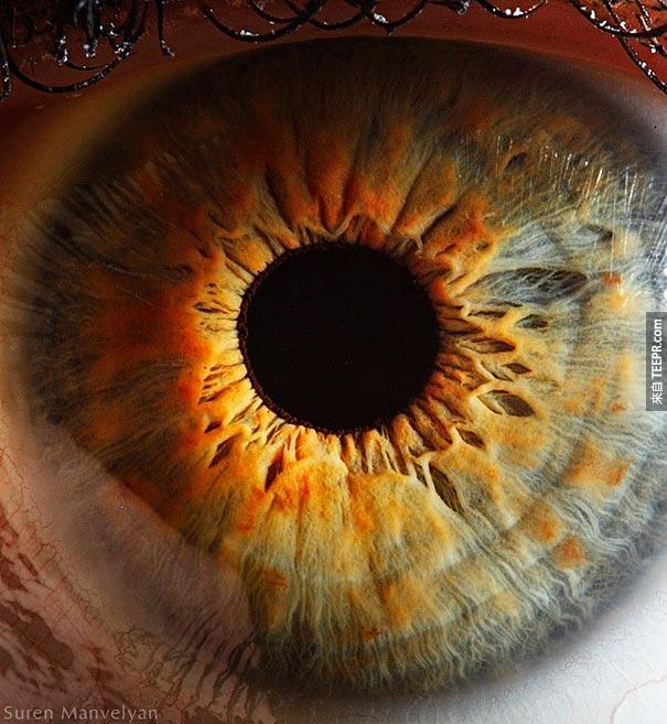 这个眼睛还蛮像向日葵的。