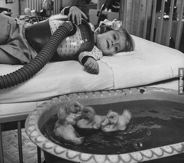 動物曾經用來當做一種療程 - 1956