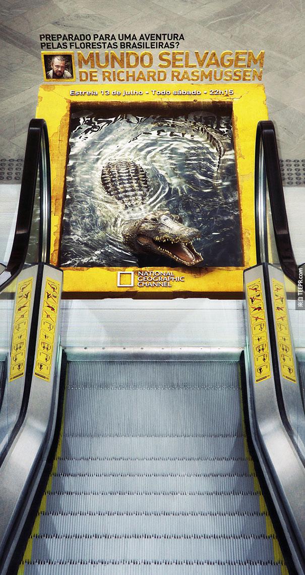 國家地理頻道 National Geographic: 3D 鱷魚手扶梯