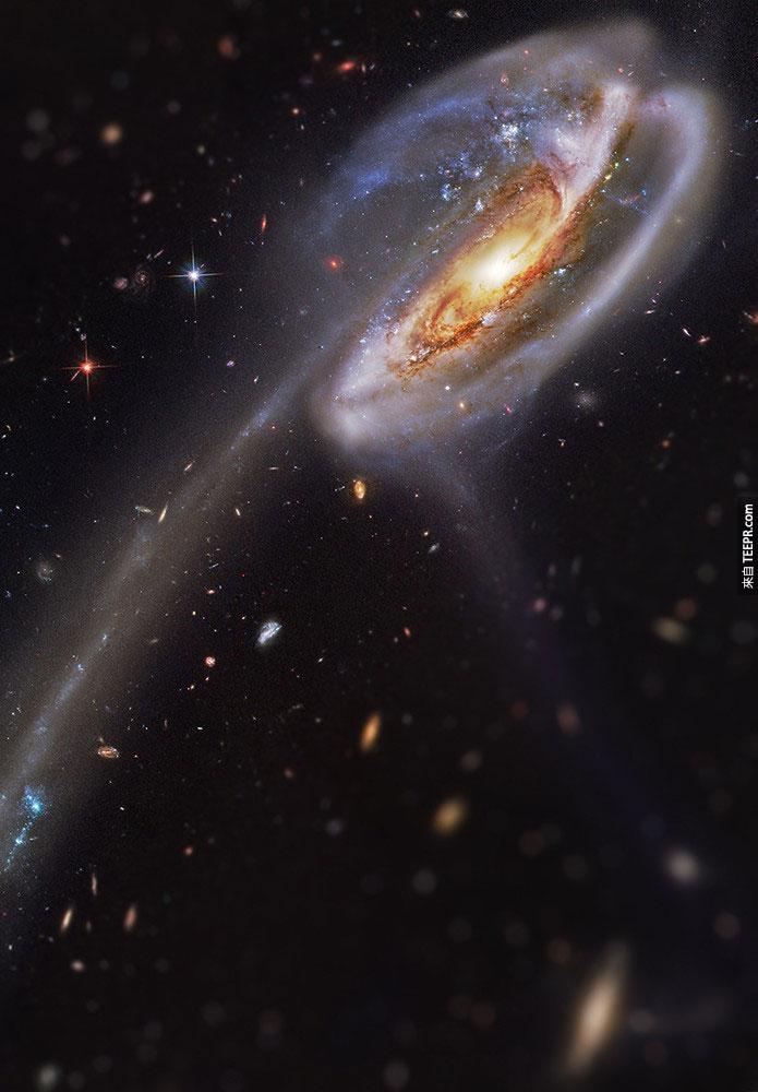 7. 蝌蚪银河 (Tadpole Galaxy)