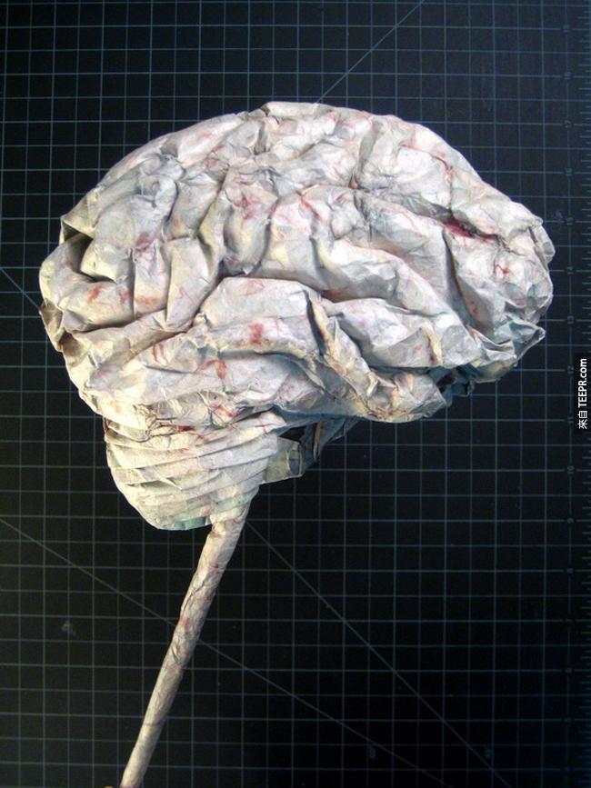 人大脑