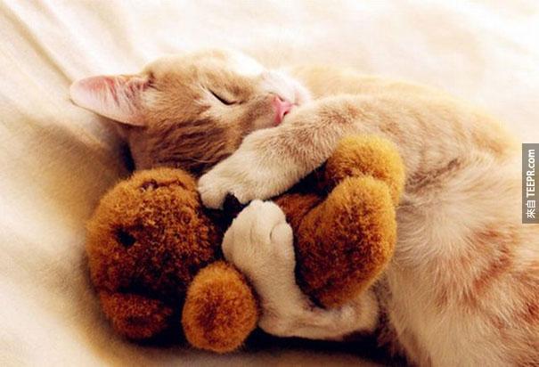cute-animals-sleeping-stuffed-toys-7
