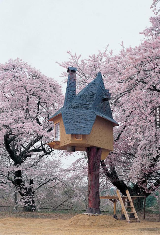 藤森照信對於這棟樹屋的堅固程度非常的注重。這棟樹屋就算遇到颱風或是地震也可以毅力不倒。