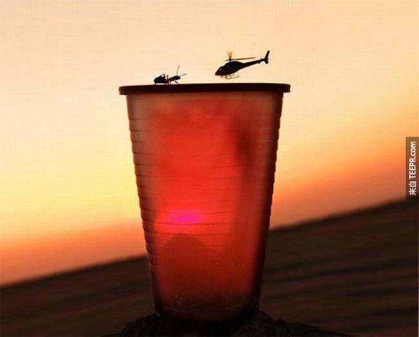 17.) 全世界最大螞蟻還是最小的直升機？