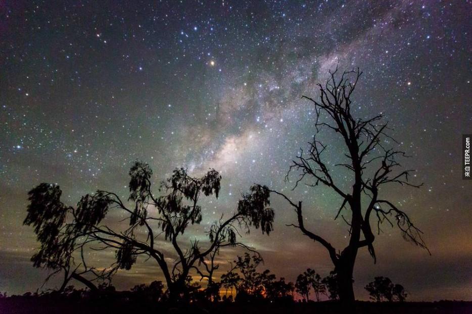 映著夜空餘暉的桉樹(澳洲的特有品種)真的太令人驚艷了。