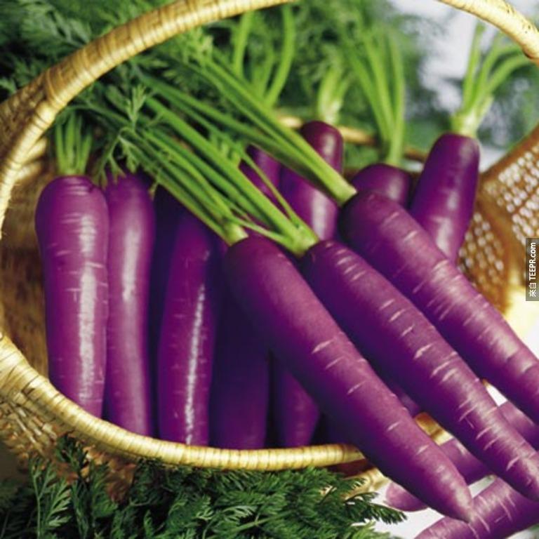 生长在英国或中亚的紫萝卜。