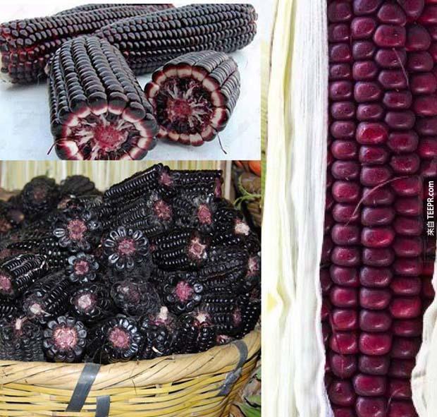 色的玉米，在玻利维亚(Bolivia)厄瓜多(Ecuador)祕鲁(Peru)都找的到。