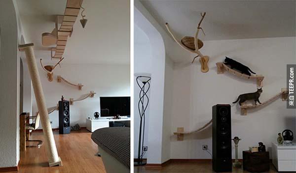 大部份“金爪”所设计的产品，都是挂在天花板上能让猫咪攀爬的桥。