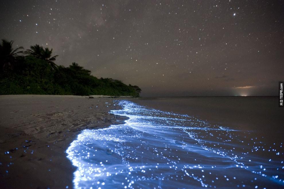 18. 灿烂星空，Vaadhoo岛，马尔地夫  (Sea of Stars on Vaadhoo Island, Maldives)