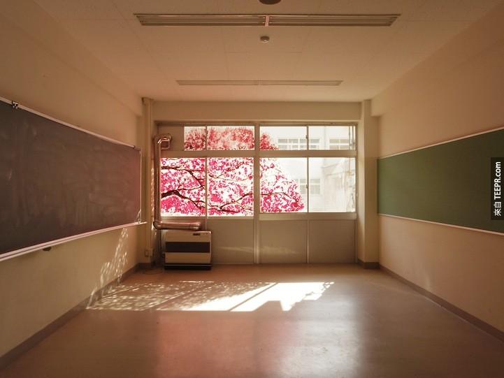 這間教室完全都是空的，唯一的色彩來自外面的櫻花樹。