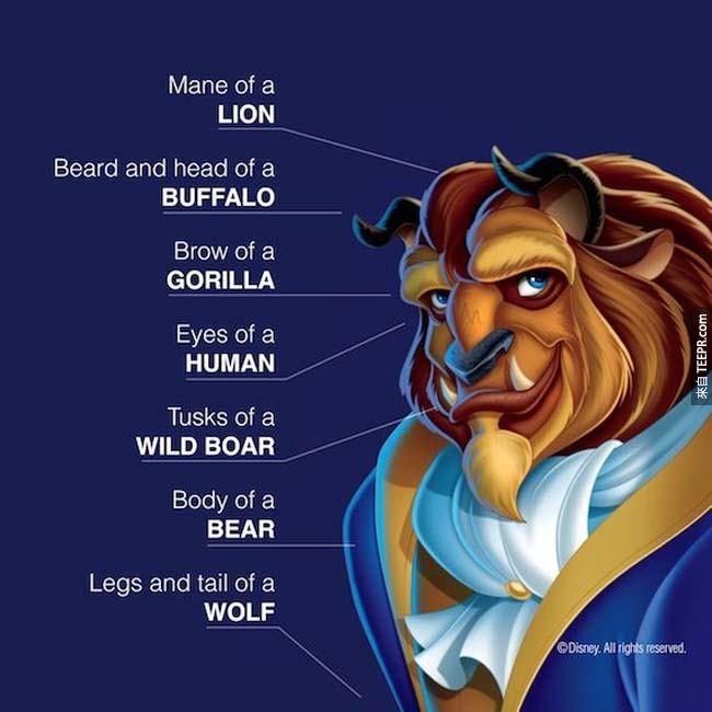 《美女与野兽》的动画师指出，片中野兽是7种动物组合而成的 （狮子、水牛、猩猩、人类、野猪、熊、狼)。