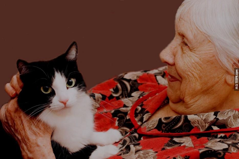 猫咪可以帮助阿兹海默患者。