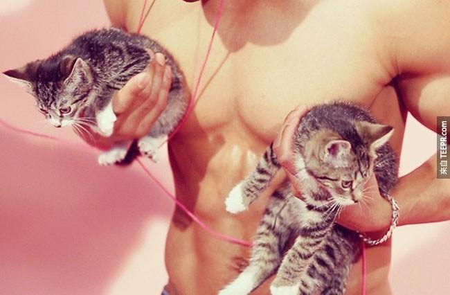 養貓可以增加你的男性魅力。