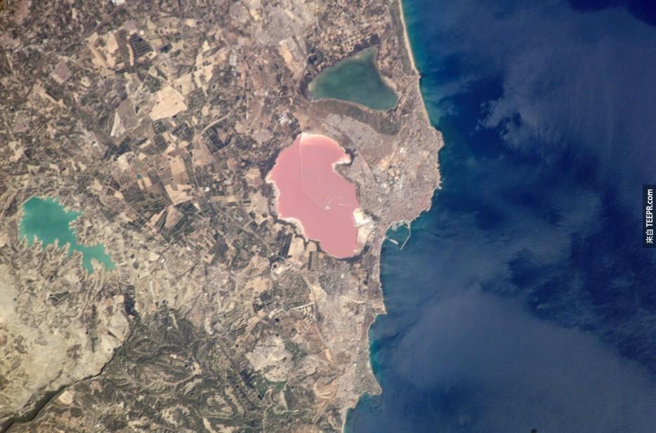 56. 粉色盐湖，Torrevieja，西班牙