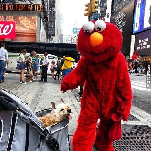 Elmo 碰上了 Elmo!