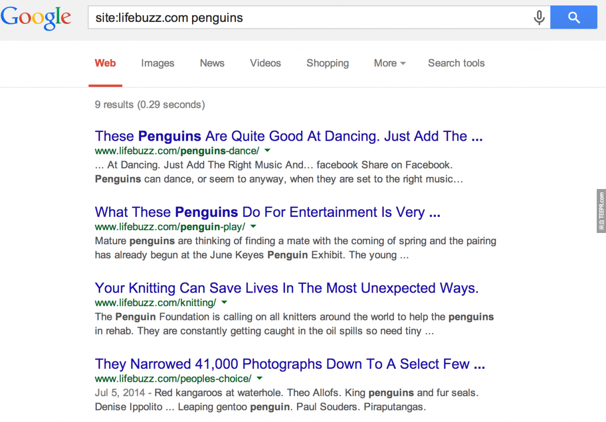 #6. 通过使用“网站”关键字，Google将只会显示出和该网站有关的结果。例如：你只要输入“lifebuzz.com企鹅”这样的关键字，你会得到的结果就是 LifeBuzz 网站上所有关于企鹅的文章。