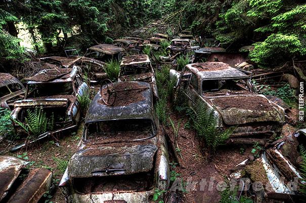 chatillon-car-graveyard-abandoned-cars-cemetery-belgium-10