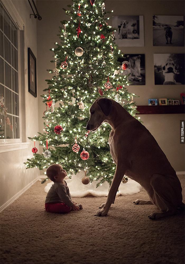 cute-big-dogs-and-babies-34