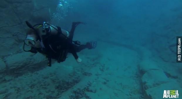 不只有水上活動，這個泳池還可以潛水，可以潛水至近8公尺深，你還必須要有潛水執照跟相關技能才能真的去潛水，不是開玩笑的！