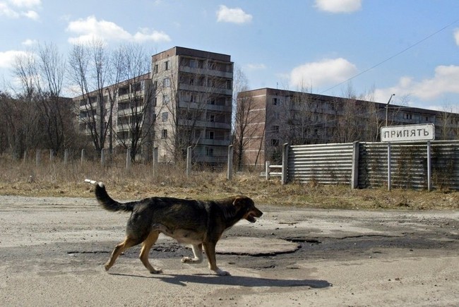 4.) 车诺比核电厂，乌克兰