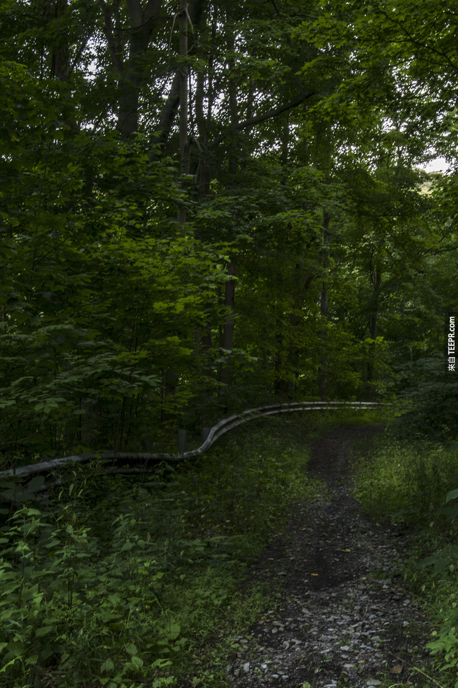 宾夕法尼亚的乡村道路也被大自然接管了。