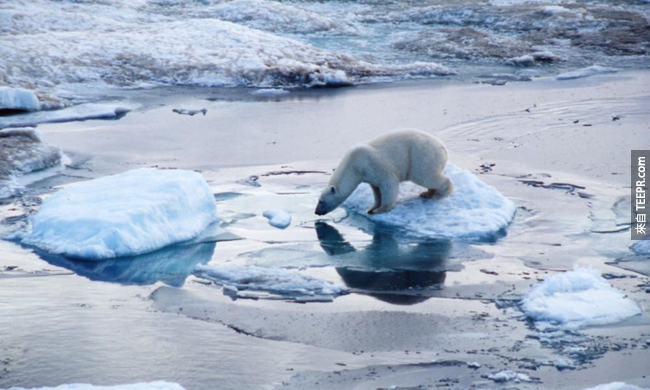 20）冰川融化 - 北极圈