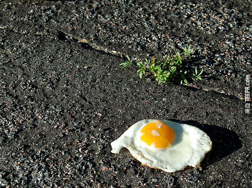 11. 要在人行道煎蛋，路面的溫度大約需要攝氏70度。