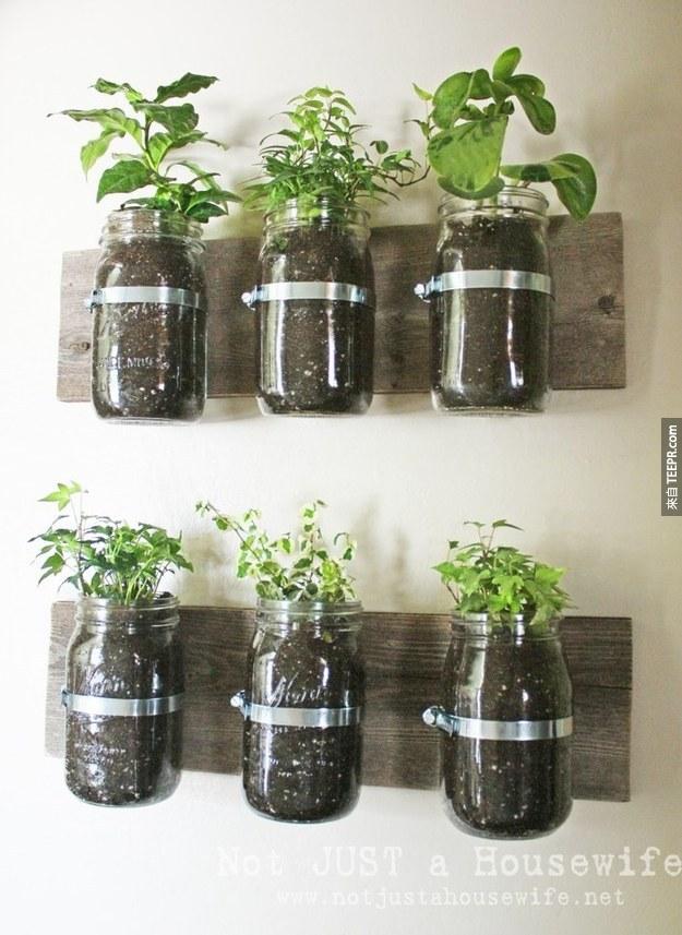 Plant a kitchen herb garden.