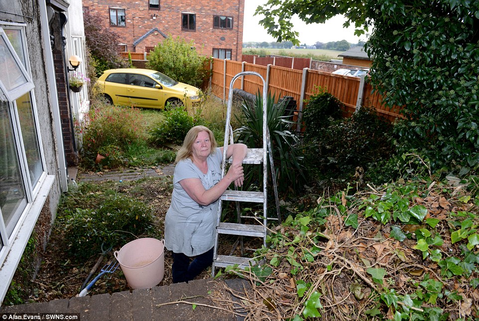 Mrs Collins says she now has to use a ladder to exit her home on the side of the new fence