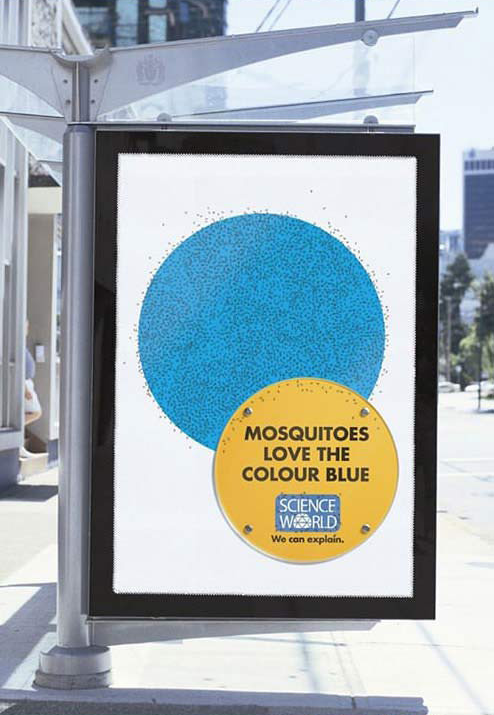 蚊子喜欢蓝色。