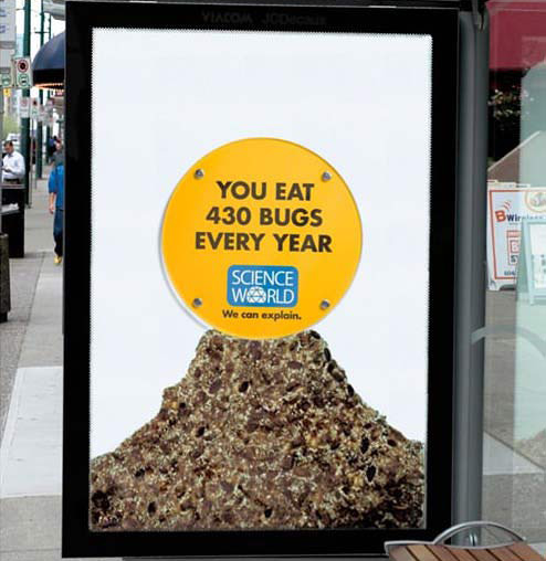 你每年會吃下430隻蟲。
