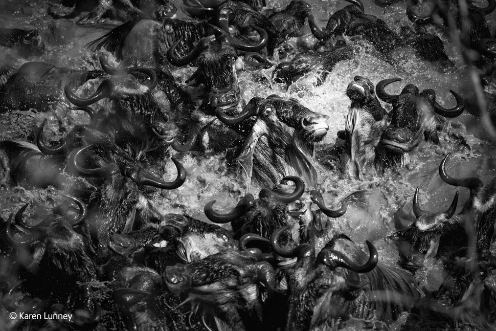 「但丁的地狱之旅」(摄影：Karen Lunney)