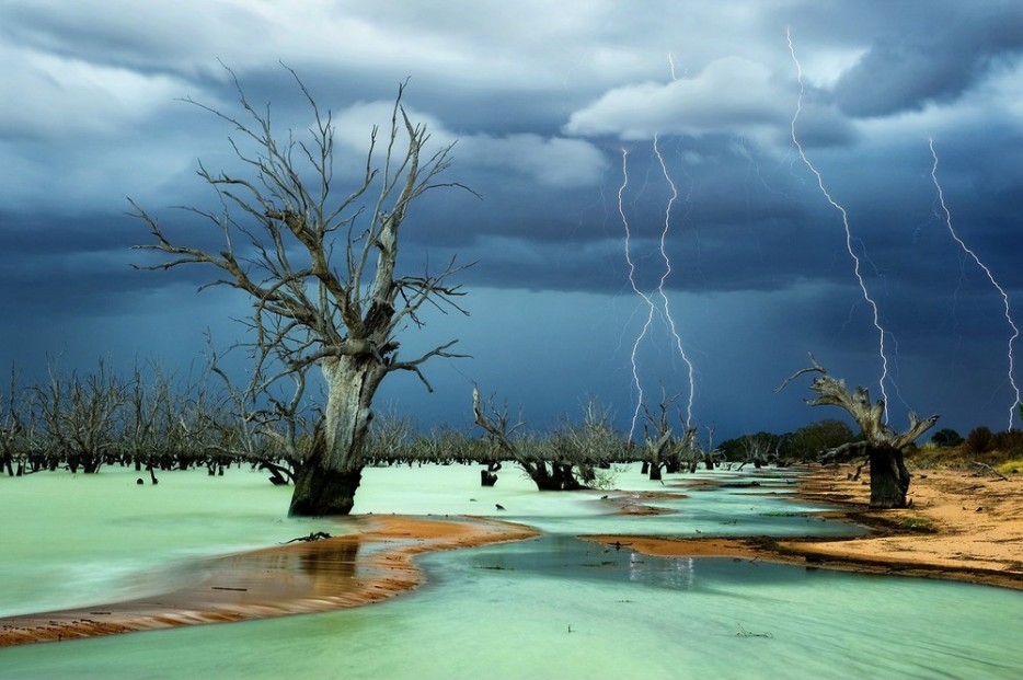 澳洲梅寧迪湖區(Lake Menindee, Australia)