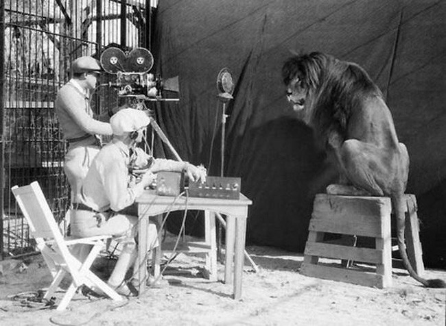 米高梅公司(MGM) 正在錄製經典的獅吼。[1929年]