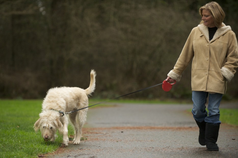 You%20know%20your%20canine%20neighbors%20better%20than%20your%20human%20neighbors