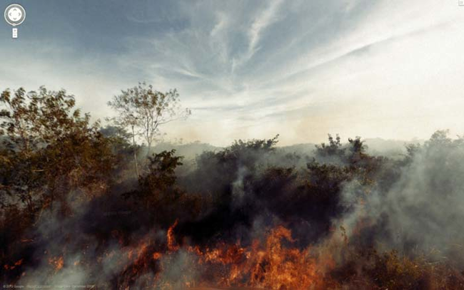 18. 还捕捉到野火燎原的森林大火。