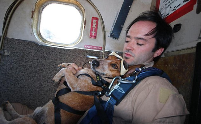 人们可能没办法了解为什么这只狗和他主人要一起去高空跳伞。