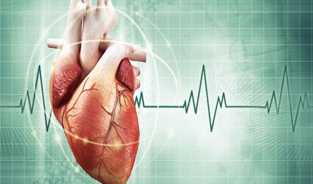 18. 只要给予氧气，心脏可以在身体外继续跳动，它不需要倚赖大脑的电波控制。