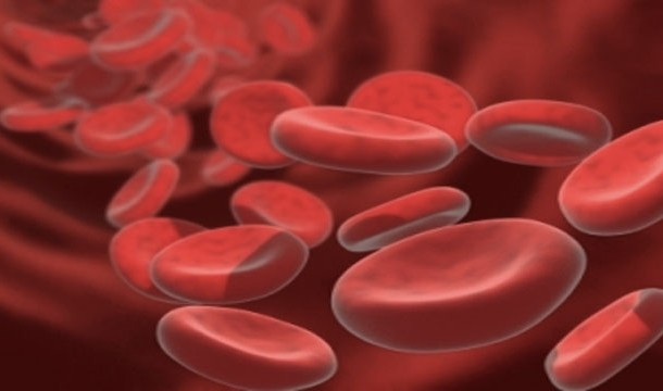 9. 全身有75兆的细胞，而心脏将血液传送至几乎每一个细胞。