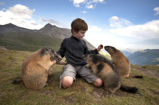 Matteo的母亲说：「他爱这些小动物，而他们也不怕Matteo ，因为他对他们有感觉，而他们也懂。」