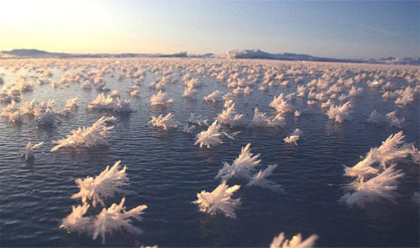 18. 結凍的花：在北極海的海洋及大氣的溫度差，造成了這樣像花的冰。<BR><BR>