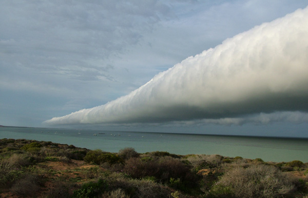 1. 弧状云 (Arcus clouds) 会以卷轴云 (Roll clouds) 或滩云 (Shelf clouds) 的形式出现，很长、且有水平的阵势。 滩云会像是楔形物，而卷轴云则很像是水管，这两者都跟大气的变化有关系。滩云通常会带来雷雨，而滚轴云通常会造成寒冷的微风。