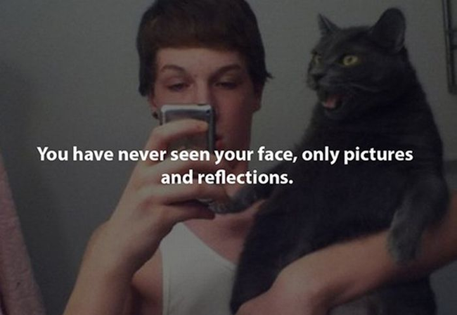 10.) 你从来没有看过自己的脸，只有透过图片、或是倒影。