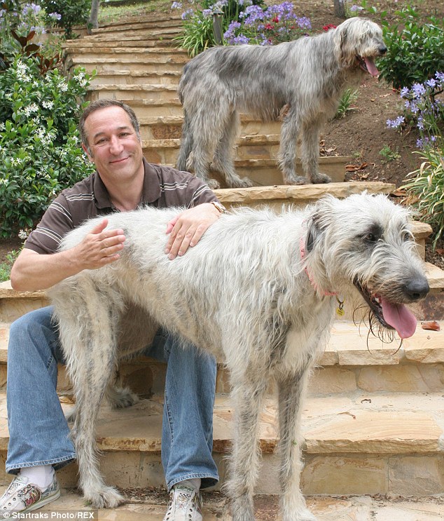山姆表示他會將他的財富投入在動物救援上，包括協助關閉劣質動物園、拯救受虐動物，並在洛杉磯的馬裡布建造了狗狗救援中心。