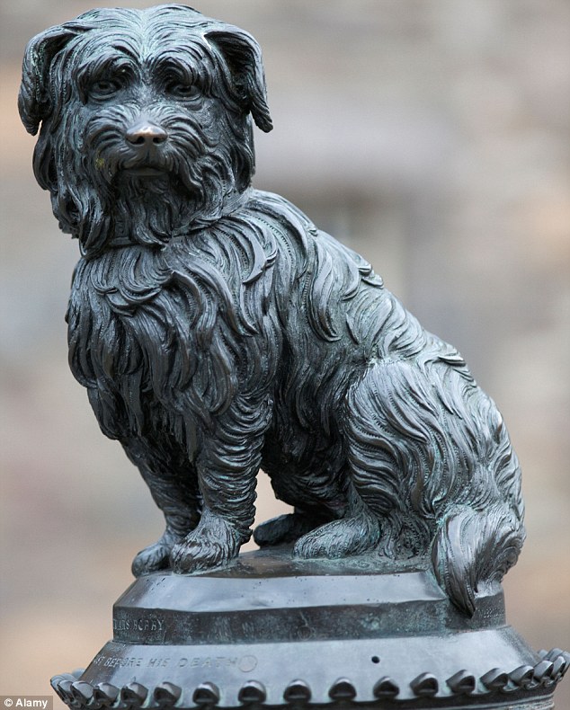 为了纪念这只忠犬，人们他给他立了一个铜像，甚至还有更多电影和书籍，在记录他这份炙热的心意。