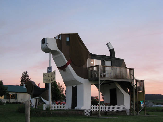 8.) 爱达荷州 狗吠叫公园饭店 Dog Bark Inn in Cottonwood, Idaho