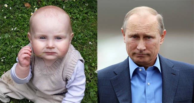 7.) 宝宝 vs. 俄罗斯总统 普丁 (Vladmir Putin)