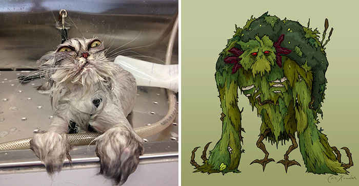 13. 洗澡的貓 vs. 沼澤怪物