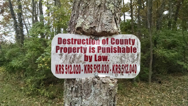 牌子明明寫了「在國家財產上建設是可以法律處以罰則的。」但這棵樹硬生生地長出來，把牌子給吃地了。